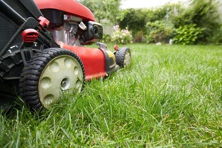 lawn care