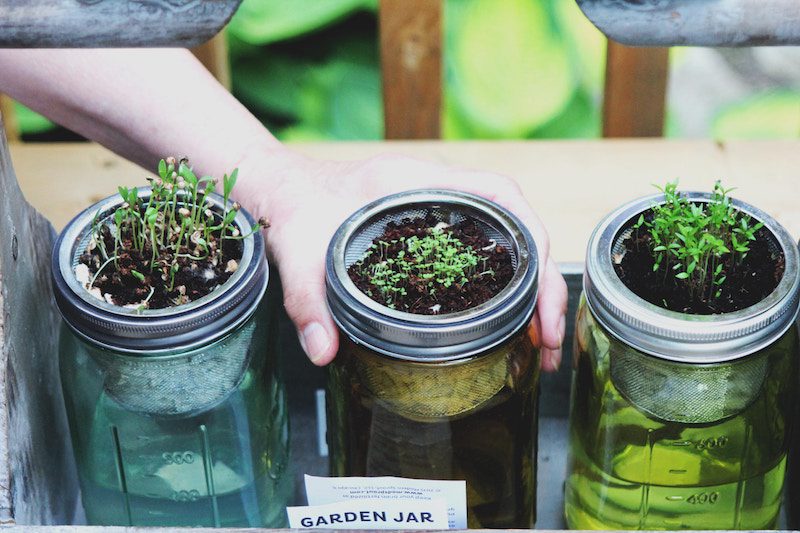 herb garden