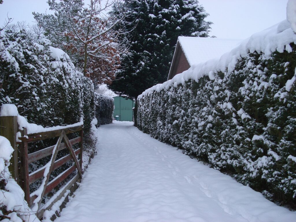 Snowy Walkway